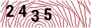 Security Verification