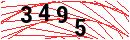 Security Verification