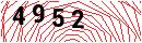 Security Verification