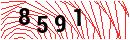 Security Verification