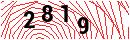 Security Verification