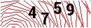 Security Verification