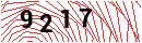 Security Verification