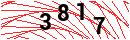 Security Verification