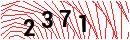 Security Verification