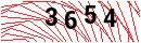 Security Verification