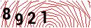 Security Verification