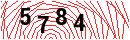 Security Verification