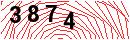 Security Verification