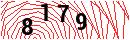Security Verification