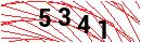 Security Verification