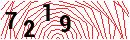 Security Verification