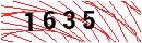 Security Verification