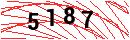 Security Verification