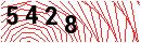 Security Verification
