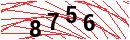 Security Verification