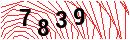 Security Verification