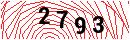 Security Verification
