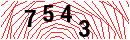 Security Verification
