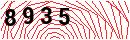 Security Verification