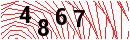 Security Verification