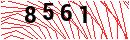 Security Verification