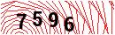 Security Verification