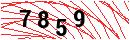 Security Verification