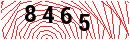 Security Verification