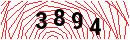 Security Verification