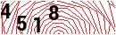Security Verification