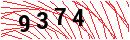 Security Verification