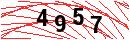 Security Verification