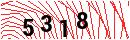 Security Verification