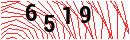 Security Verification