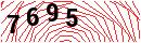Security Verification