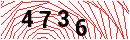 Security Verification