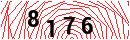 Security Verification