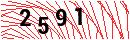 Security Verification