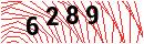 Security Verification