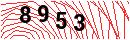 Security Verification