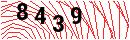 Security Verification