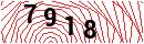 Security Verification