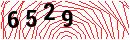 Security Verification