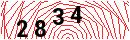 Security Verification