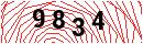 Security Verification