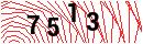 Security Verification