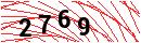 Security Verification
