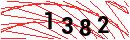 Security Verification