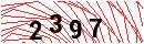 Security Verification